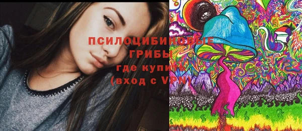 apvp Аркадак