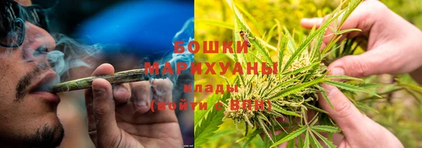 apvp Аркадак
