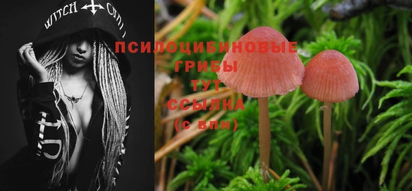 мяу мяу кристалл Арсеньев
